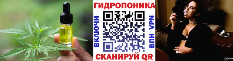 купить наркотик  Первомайск  дарк нет Telegram  Canna-Cookies конопля 
