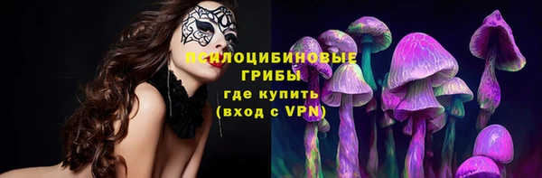 крисы Дмитров