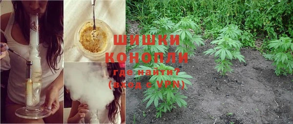PSILOCYBIN Михайловск