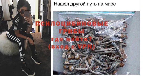 spice Дмитровск