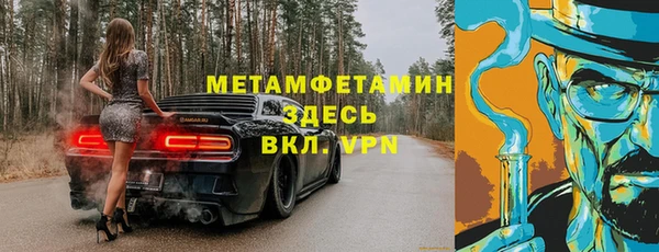 гидра Надым