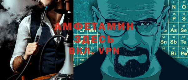 гидра Надым