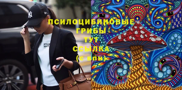 spice Дмитровск