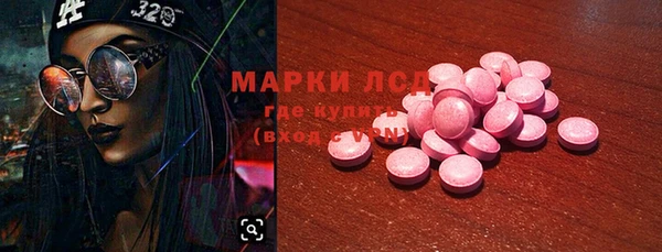 крисы Дмитров