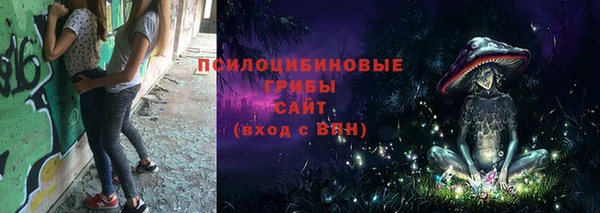 гидра Надым